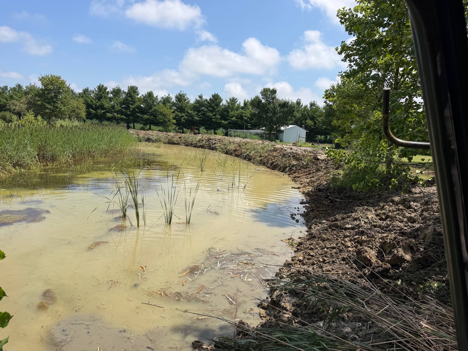 After — cleared pond bank and reopened water edge following an excavator cleanout, central Illinois — Brohez Trucking LLC