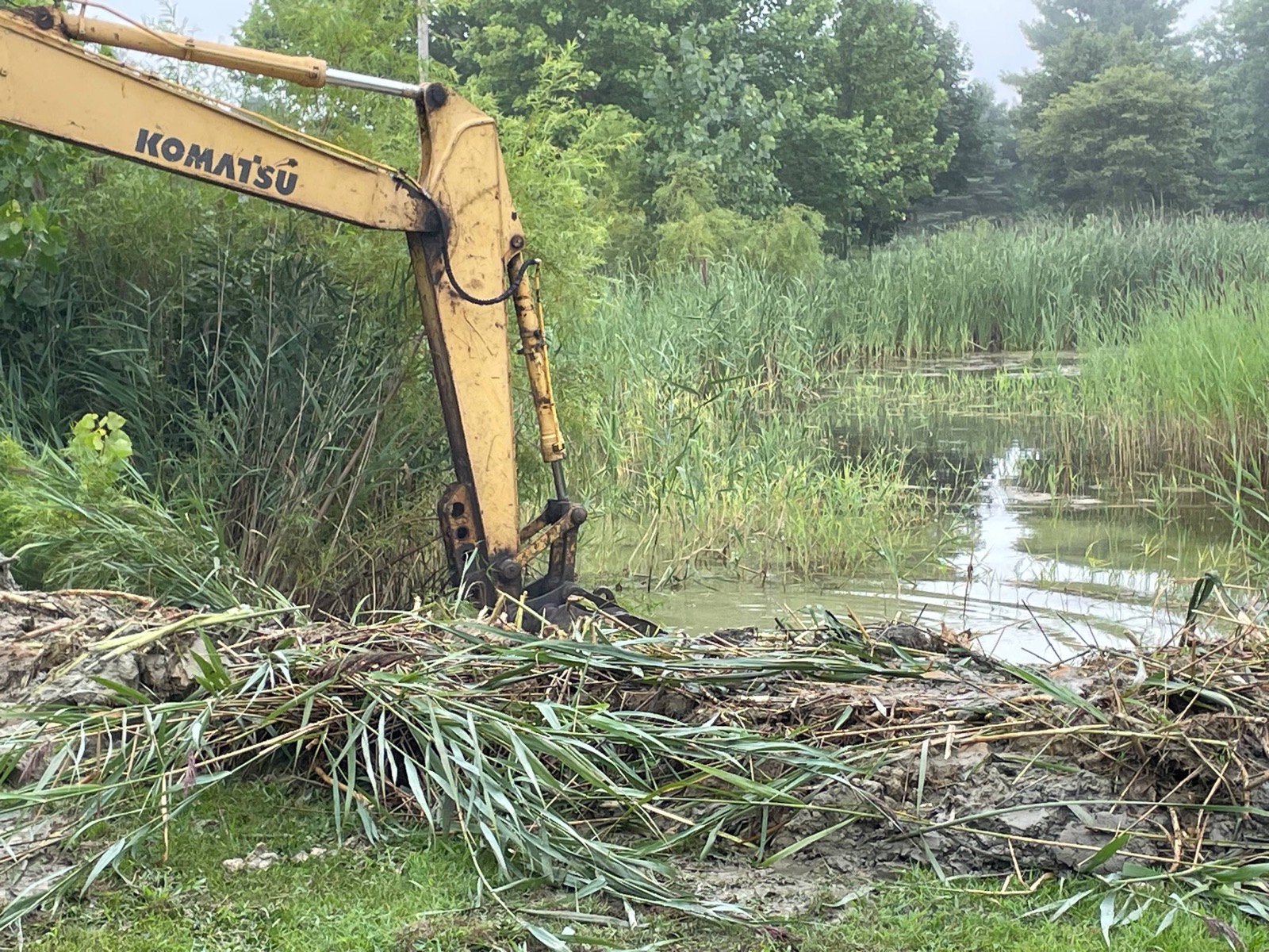 During — excavator pulling cattails and root mat out of the pond and windrowing them on the bank, central Illinois — Brohez Trucking LLC
