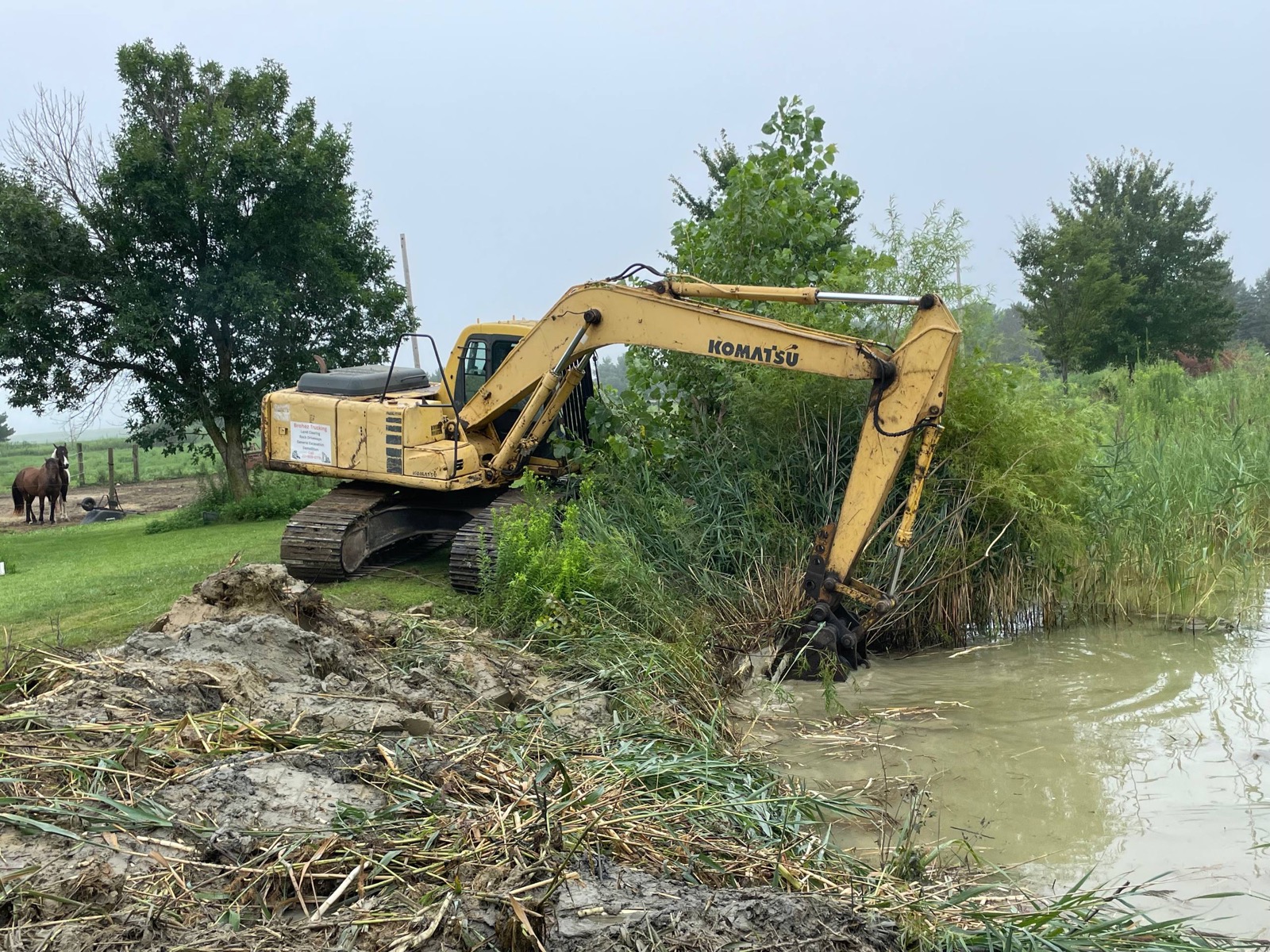 During — excavator reaching into the water to pull the cattail root mat off the pond edge, central Illinois — Brohez Trucking LLC